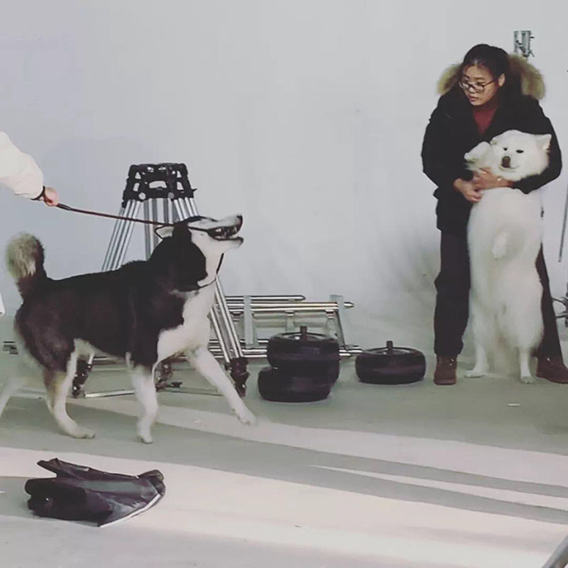 1555470051727936RpZz.jpg 微信圖片_20190416104838.jpg