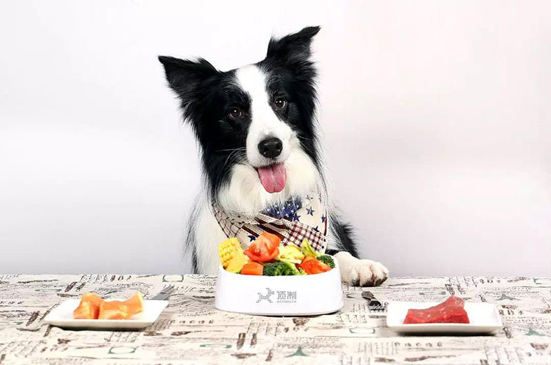 1555470095901794doOb.jpg 微信圖片_20190416105152.jpg