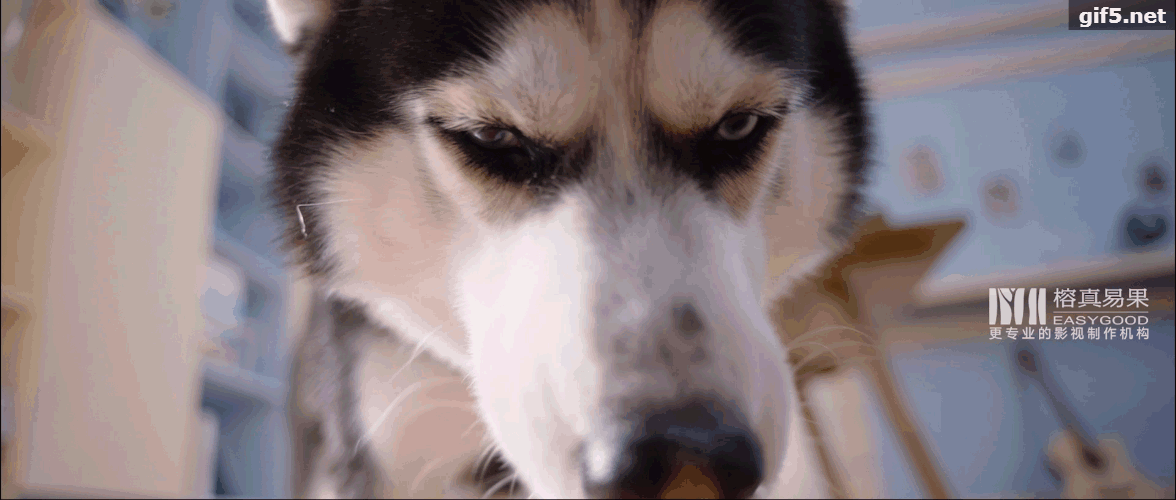 1555385097293556usBf.gif K.gif